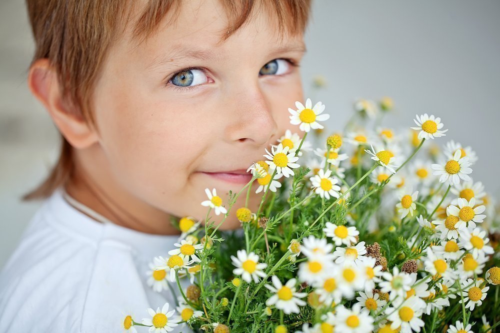 Пыльца растений — причина поллиноза у детей
