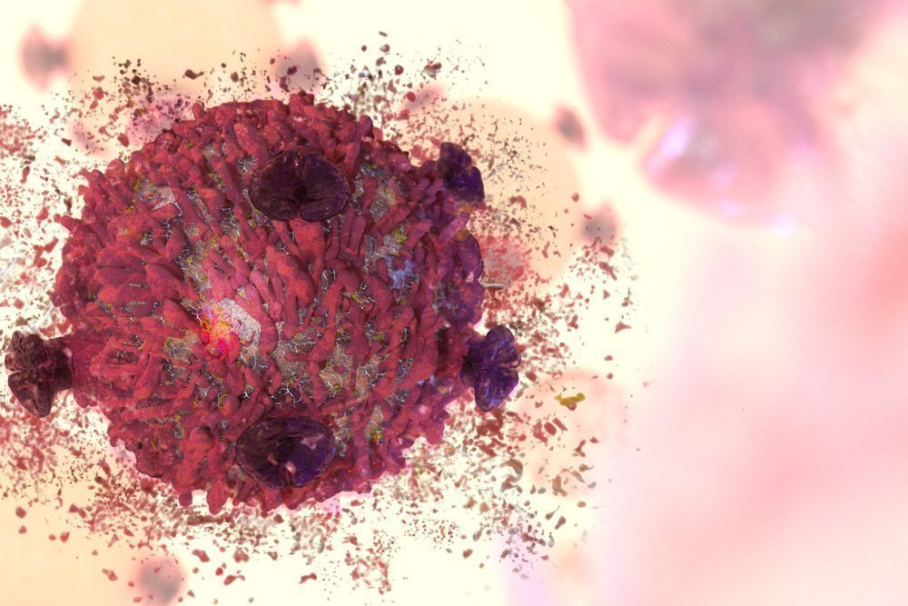 Вирус Т-клеточного лейкоза взрослых