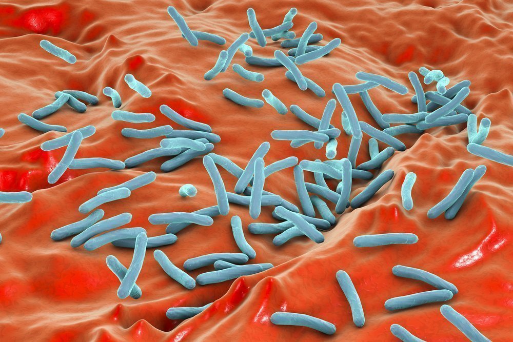 Туберкулезные микобактерии
