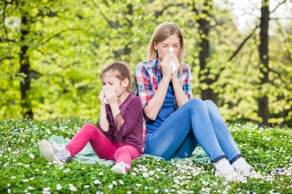 Симптомы и методы диагностики аллергии на пыльцу