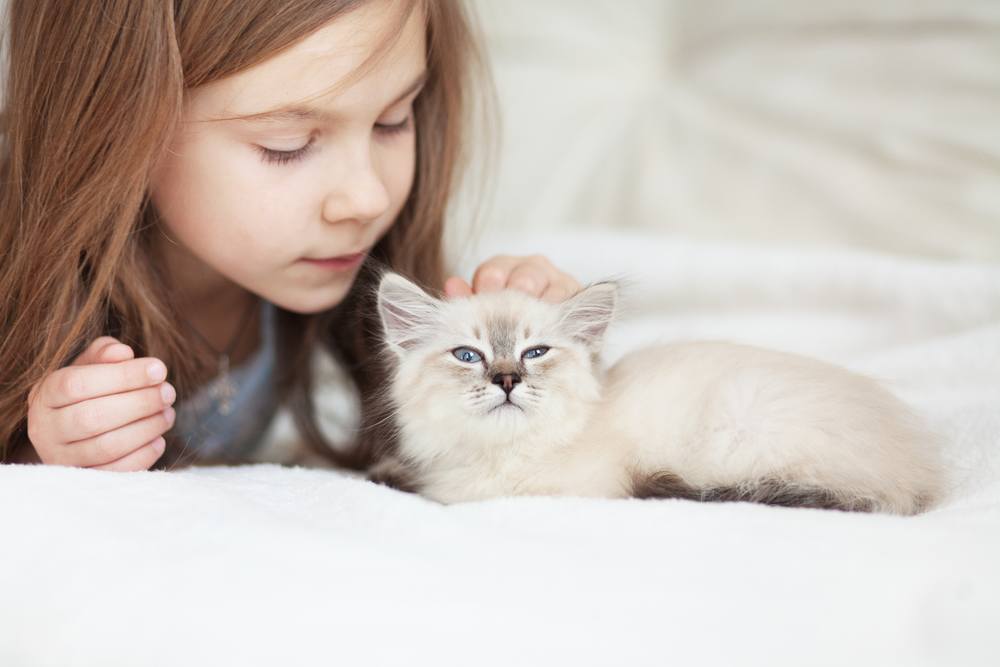 Допустимы ли домашние животные для детей с аллергией?