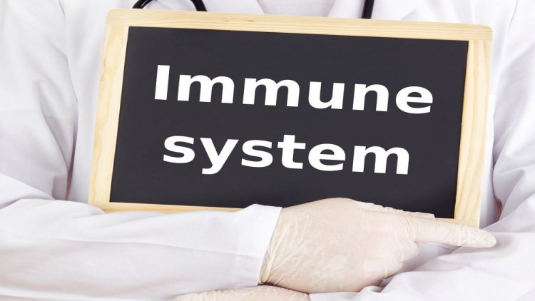 Иммунограмма и лекарства для иммунитета