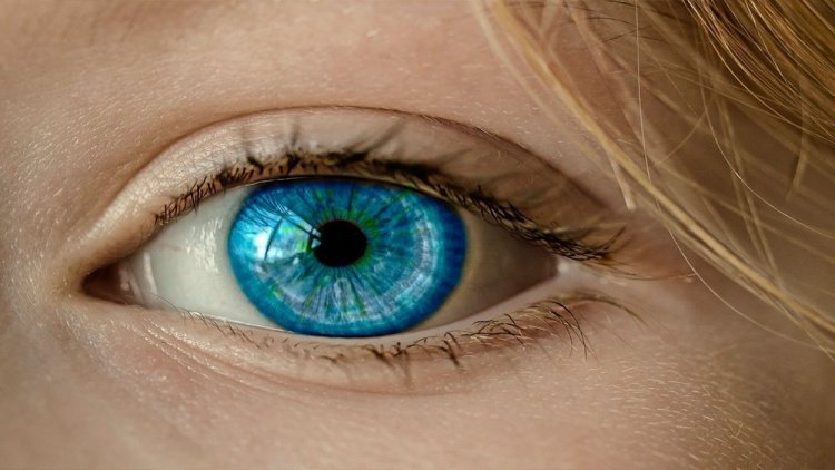 Профилактика заболеваний — надежный метод сохранить здоровье ваших глаз
