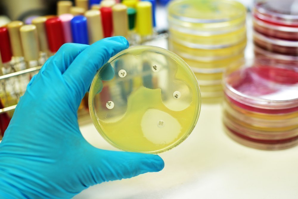 Виды антибиотикоустойчивых бактерий