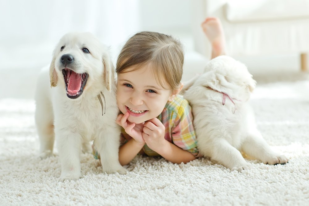 Какие породы собак хорошо ладят с детьми?